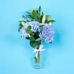 Hydrangea Serenity Vase 0003